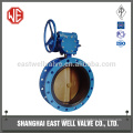 Double flange butterfly valve east well